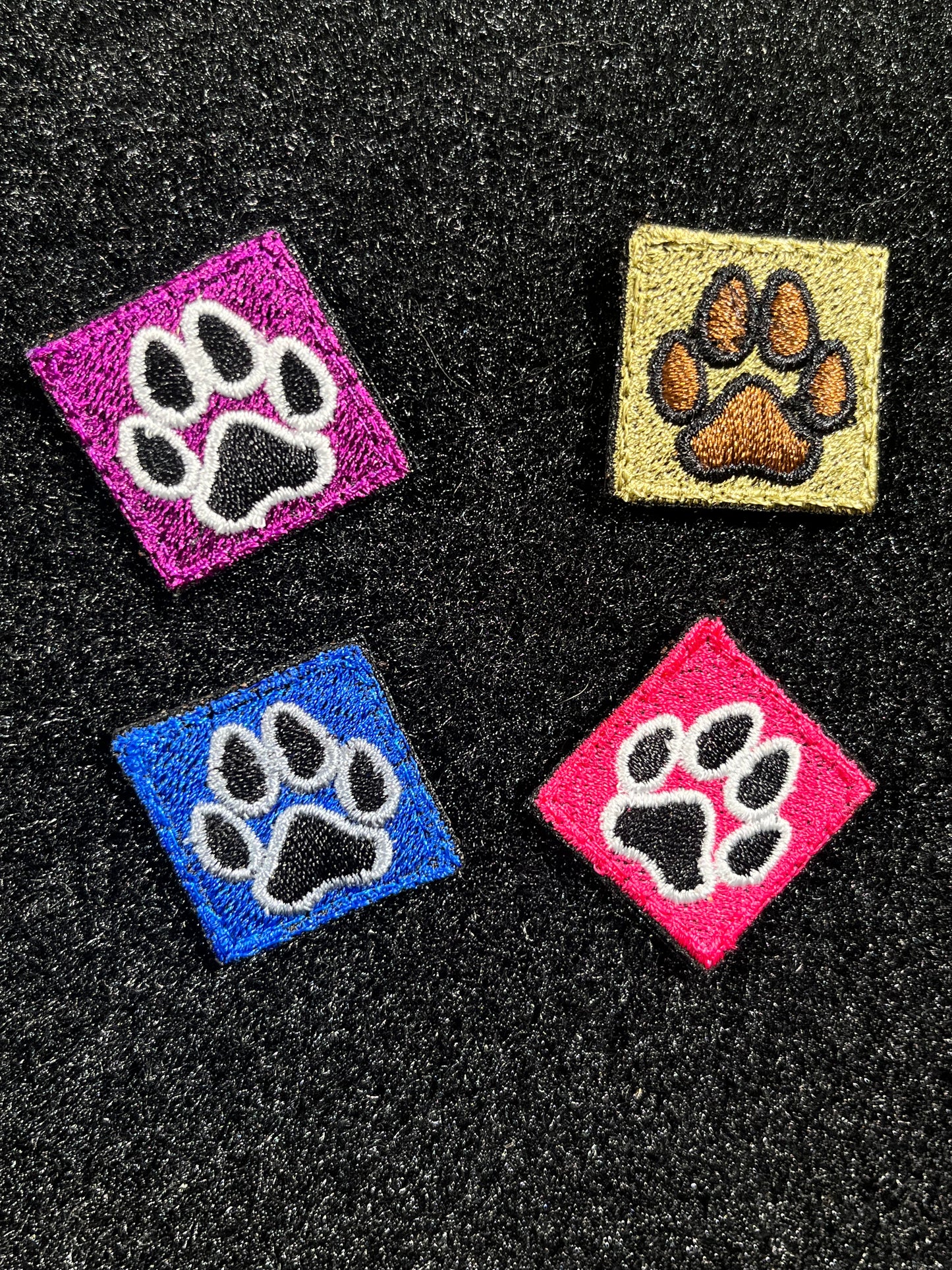 Ranger Eye Dog Paw Patch